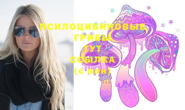 apvp Балахна