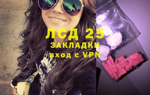 PSILOCYBIN Баксан