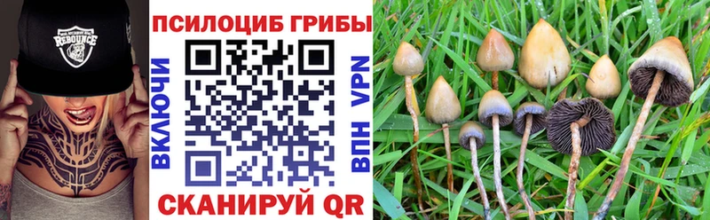 Купить закладки  Губкинский  Псилоцибиновые грибы мухоморы 